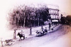 Images d'Algerie 063
